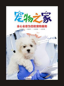 寵物食品廣告 為愛寵挑選健康美味